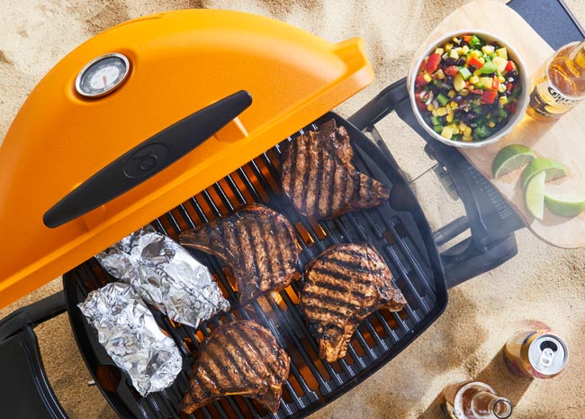 weber portable grill