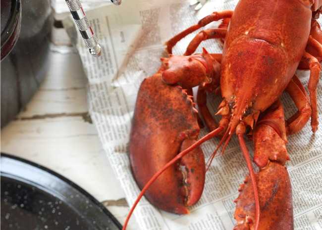 How to Buy, Prep, and Cook Lobster | Allrecipes