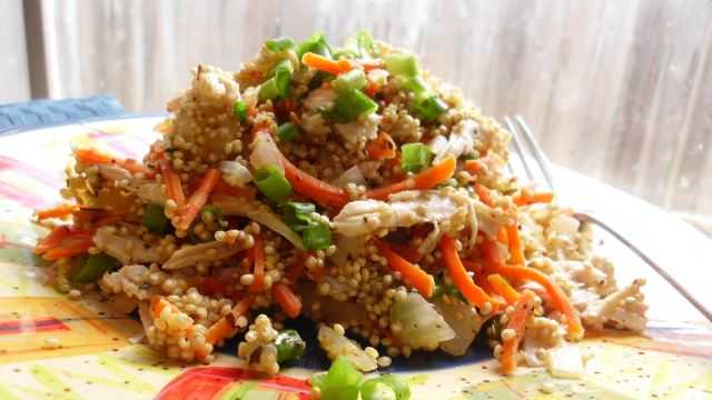 1044837 Quinoa Pilaw mit Shredded Chicken 169590 Gelegentlicher Kocher