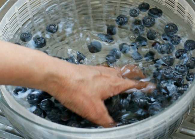 This Simple Trick Keeps Berries Fresh for Longer | Allrecipes