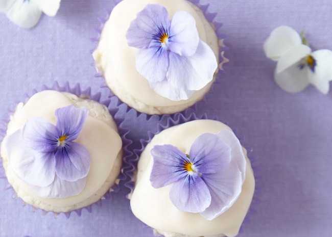 Mini Coconut Cupcakes with Passion Fruit Icing