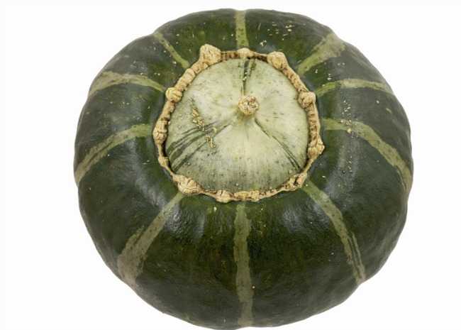 grilled buttercup squash
