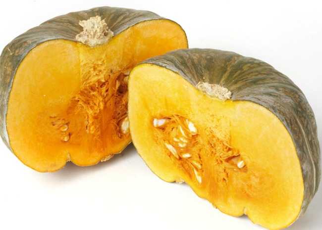 picture of buttercup squash