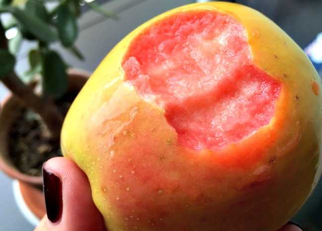 Bite Into The Most Beautiful Apple On The Allrecipes