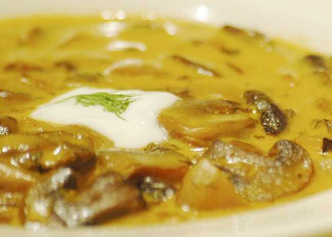 Hungarian Mushroom Soup