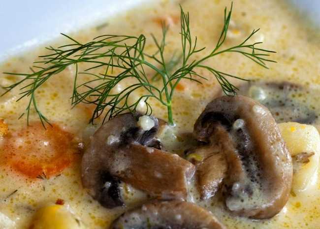 Russian Mushroom and Potato Soup