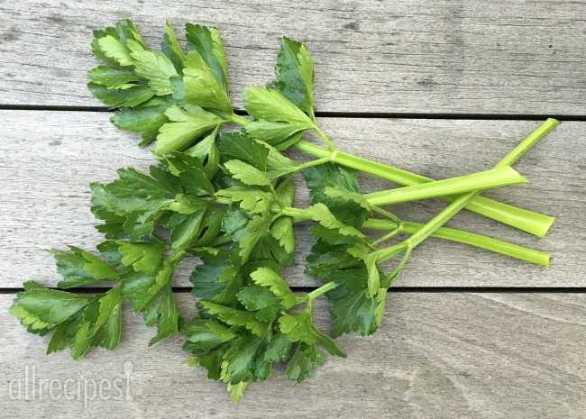 daun seledri