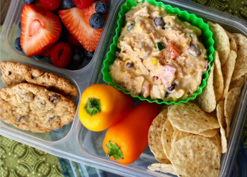 amazon healthnut nutrition bento box