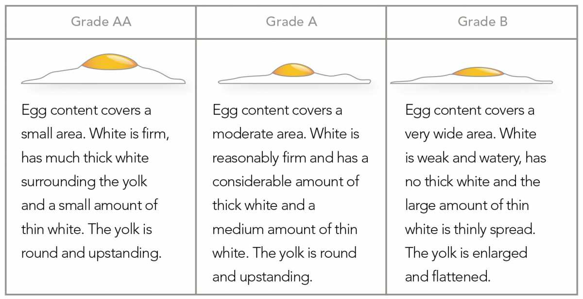 Everything You Need To Know About The Grades Of Eggs | Allrecipes