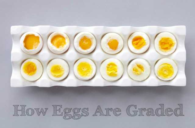 everything-you-need-to-know-about-the-grades-of-eggs-allrecipes