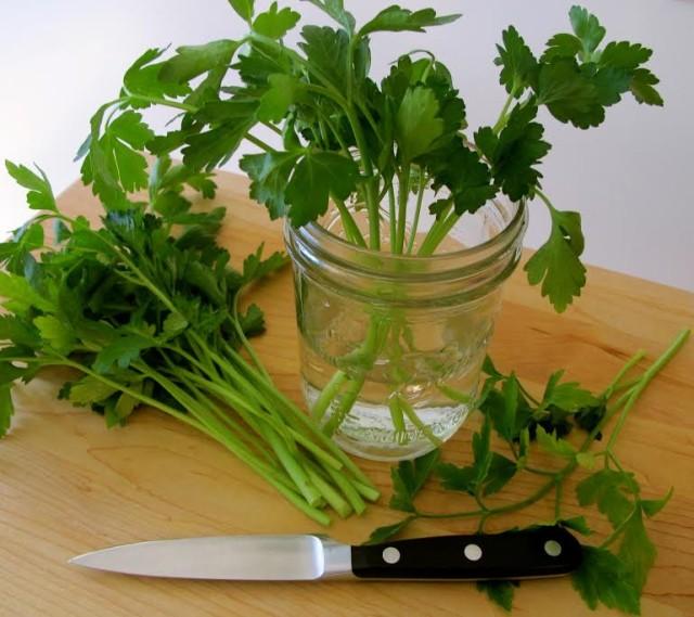 How To Store Parsley and Other Herbs to Stay Fresh Longer Allrecipes