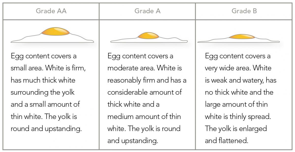 Everything You Need To Know About The Grades Of Eggs | Allrecipes